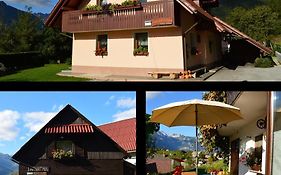 Apartmaji Bohinj